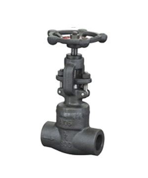 Forged steel globe valve