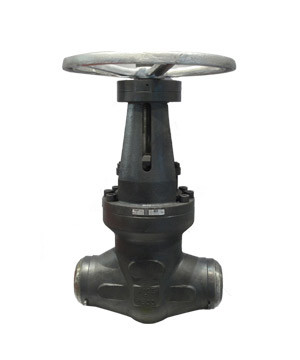 Forged steel power station valve