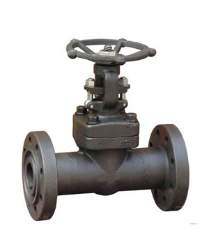 Forged steel flanged end gate valve