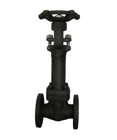 Forged steel bellows gate valve