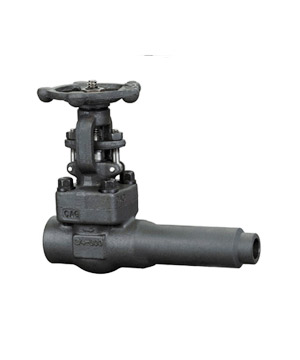 Forged steel extended body gate valve