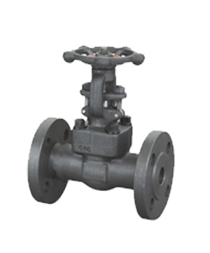 Forged steel flanged end globe valve