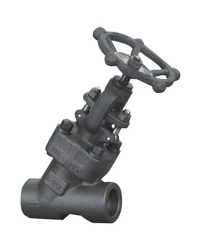 Y-type bellows globe valve